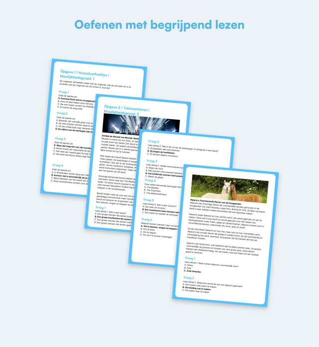 Begrijpend lezen Oefenboekie - Groep 4 (Eind)