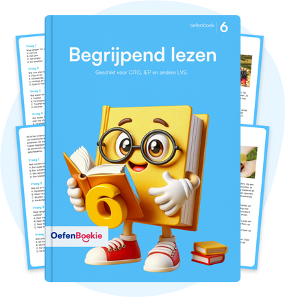 Groep 6 Oefenboekie bundel PDF (midden)