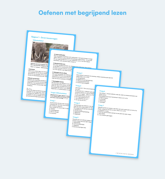Begrijpend lezen Oefenboekie - Groep 8 (Doorstroomtoets)
